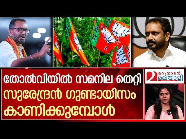 സുരേന്ദ്രൻ മാധ്യമപ്രവർത്തകർക്കെതിരെ ഗുണ്ടായിസം കാണിക്കുമ്പോൾ | About K. Surendran