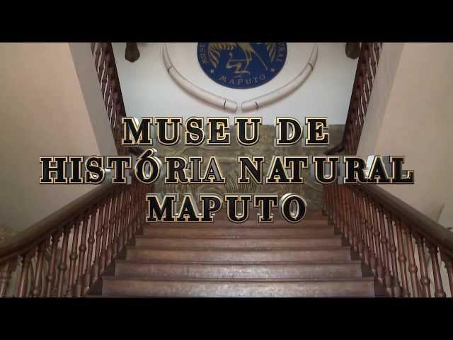 MUSEU HISTORIA NATURAL MOÇAMBIQUE