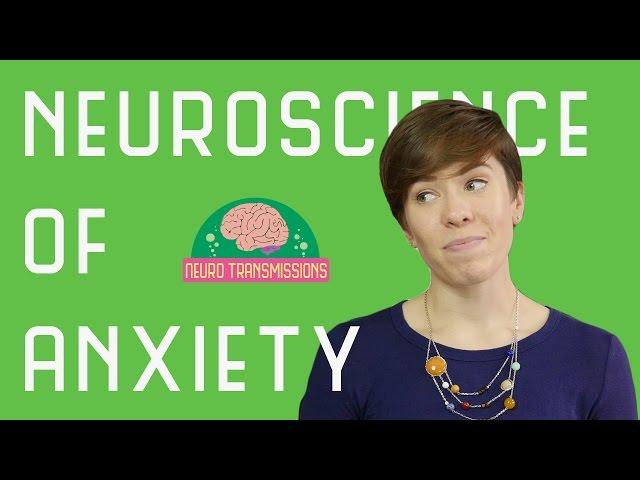 Neuroscience of Anxiety