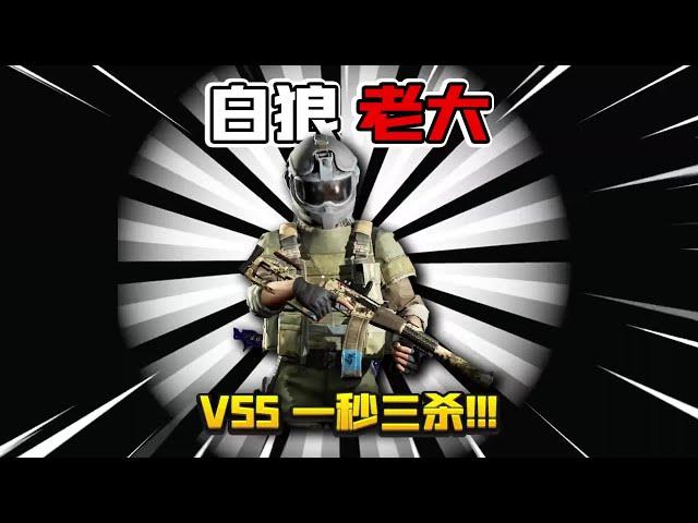 White Wolf Full with VSS One Second 4 Kill! What a melee artifact!
