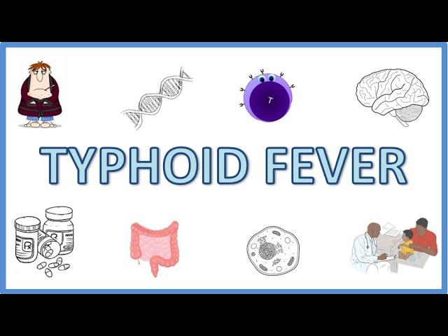 Typhoid Fever - Causes, Pathogenesis, Signs and Symptoms, Diagnosis, Treatment and Prevention