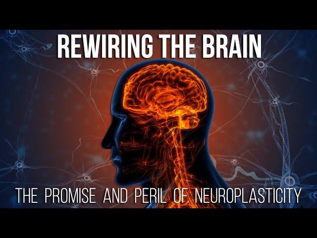 Rewiring the Brain: The Promise and Peril of Neuroplasticity