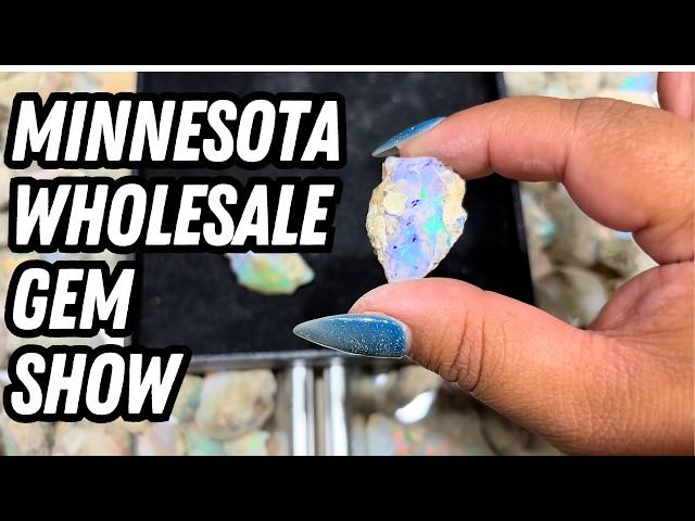 Minnesota Wholesale Gem Show | Crystal Shop with me!