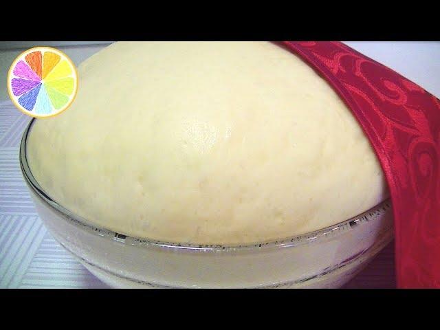 The secret of proper yeast dough. Detailed video recipe.