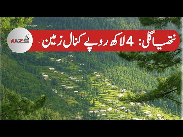 Cheap Property For Sale in Nathia gali | Open Land For Sale  | Real estate Pakistan | MZS TV