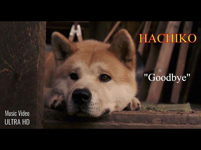 Hachiko | Hachi - Main "Goodbye" Theme (Movie Music Video | ULTRA HD)