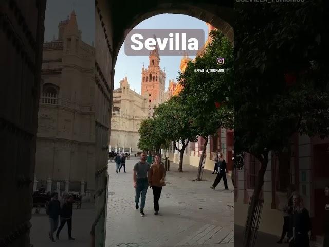 Sevilla #sevilla #sevillahoy #sevillage #travel #andalucia