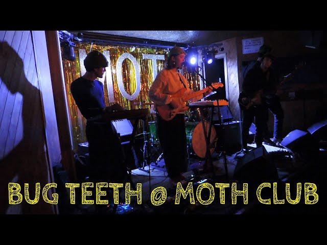 Bug Teeth @ MOTH Club 19/01/24