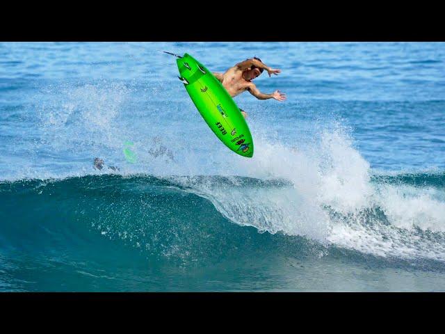 Mason Ho, Shell DoggyDoor & BABY BEAR Surf NEW …Lost Pisces Fish