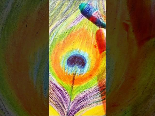 #peacockfeathers #pastel #oilpastel