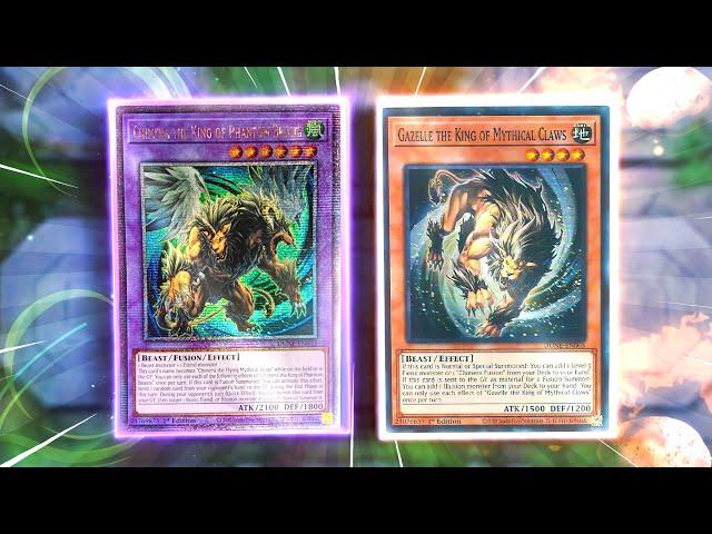 THE YU-GI-OH TOP-TIER NEW YUGI'S CHIMERA FUSION DECK! (New Illusion Fusion Deck + 7 Negates Combo)