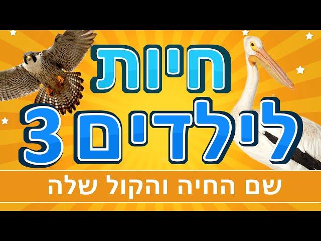 חיות לילדים 3 | קולות של חיות