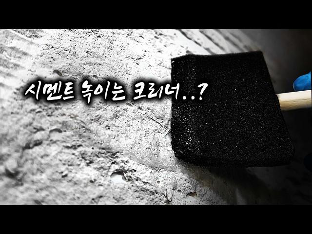 1,400개가 넘는 리뷰로 보장된 타일 크리너가 새롭게 돌아왔습니다?! 아덱스 뉴 타일 크리너[EP.76]  #화장실 #청소 #tiles #cleaning