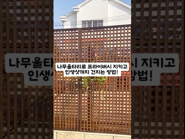 나무울타리 정원꾸미기 카페인테리어