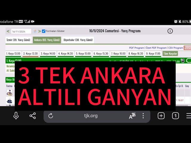 16 Kasım 2024 Cumartesi Ankara at yarışı tahminleri Ankara altılı ganyan tahminleri | Oğulcan Karaca