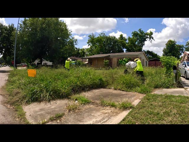 We TOOK ON this CITY VIOLATION yard NO ONE was WILLING to CUT