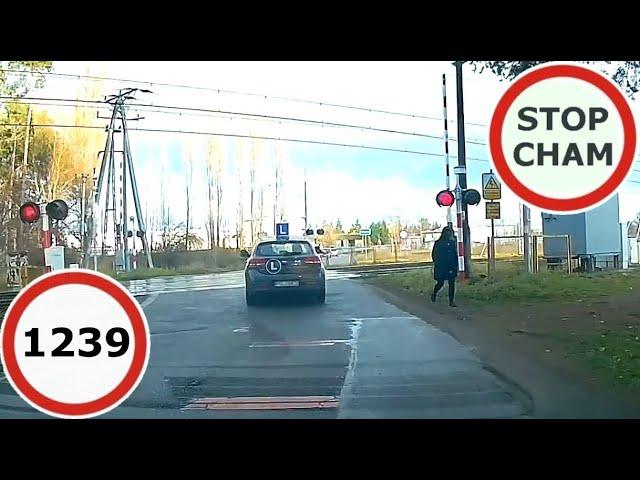 Stop Cham #1239 - Niebezpieczne i chamskie sytuacje na drogach