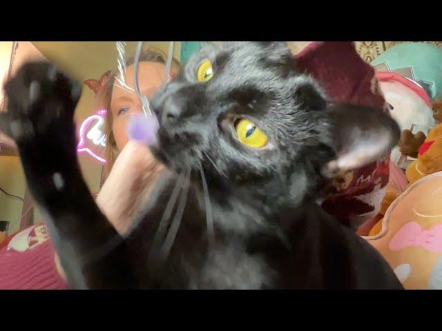 Loki and I Bring You a Wednesday TEMU HAUL | December 11, 2024