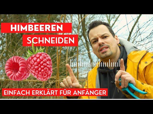 Himbeeren schneiden schnell & einfach erklärt für Anfänger