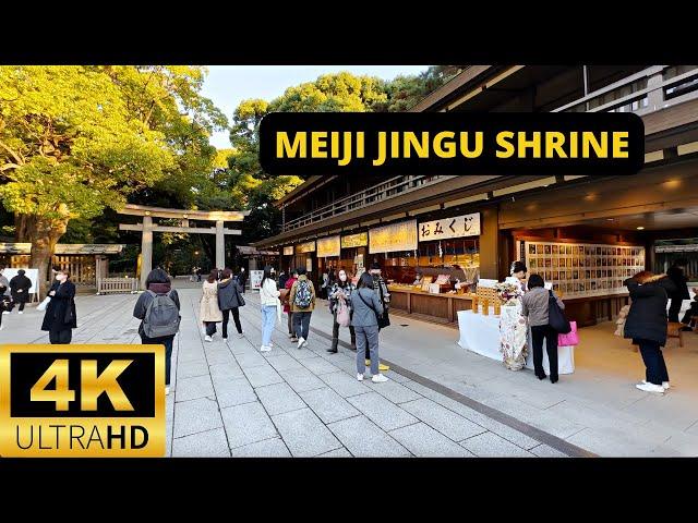 TOKYO, JAPAN  [4K] MEIJI JINGU SHRINE — Walking Tour