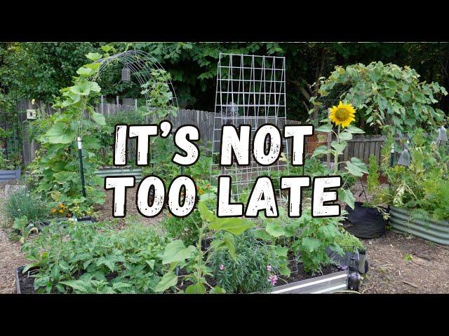 I'm Behind On My Garden | June Garden Chores & Planting