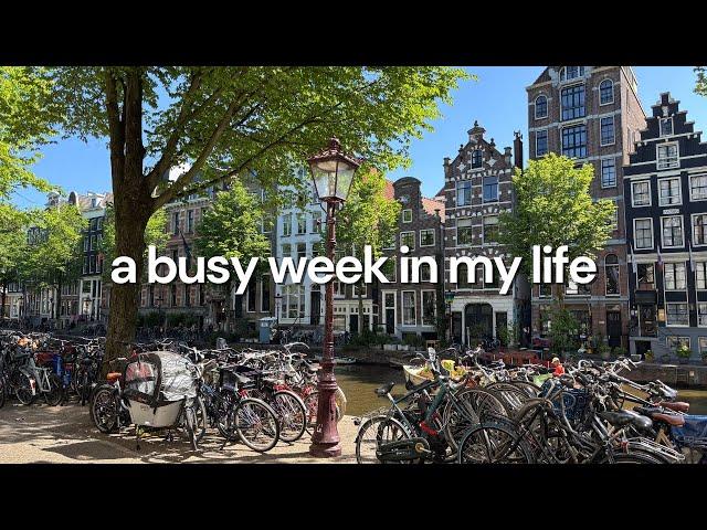 study with me cafe, wfh day, property viewing, scone baking, job application, 48 hours in Amsterdam