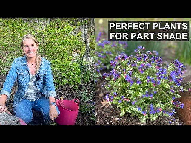 Perfect Plants for a Part Shade Garden