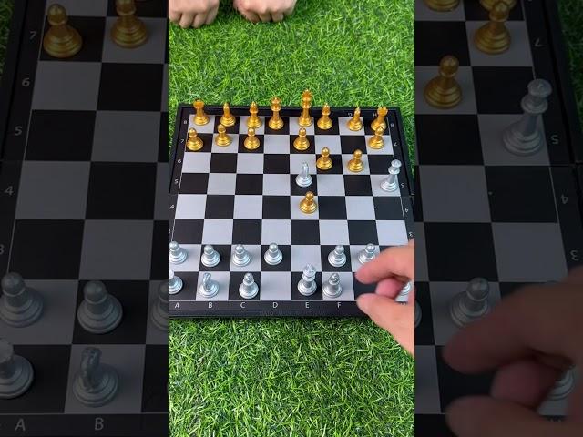 Cạm bẫy thí hậu trong cờ vua #benrikids #boardgames #chess