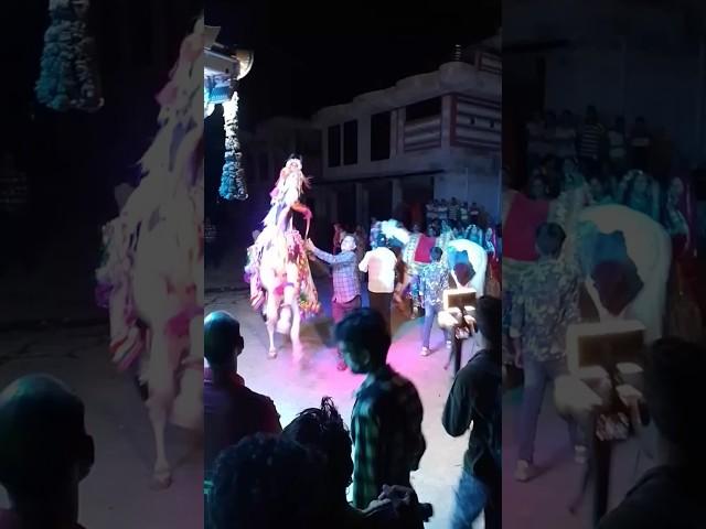 ashw gode ka dansh #ashw #trending #rajasthani #vairalvideo #shortvideo #comedy #rajasthan #shorts