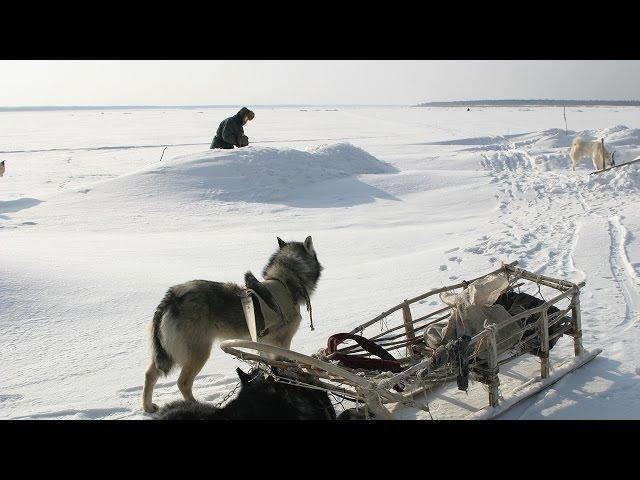 Счастливые люди | Енисей | Зима (серия 4) | Дмитрий Васюков