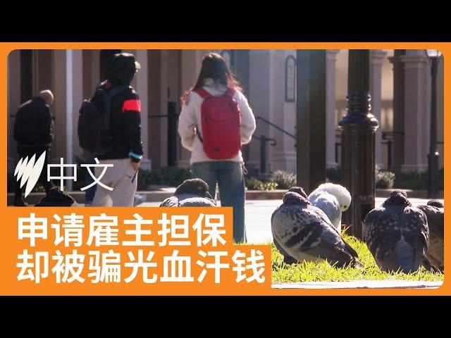 澳洲雇主担保移民诈骗曝光：70多人遭遇中介卷款跑路 | SBS中文