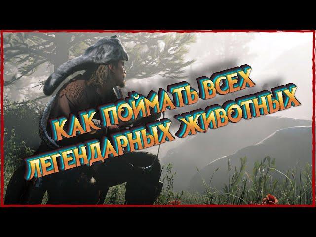 Как правильно находить легендарных животных в Red Dead Online! Подробный гайд!