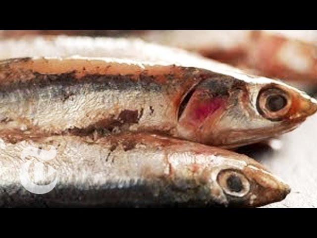 How to Eat Anchovies - Melissa Clark Cooking | The New York Times