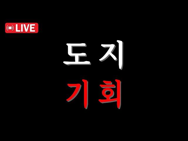 【도지코인】 지금 매도하실건가요? 이건 기회입니다. Feat. 시바이누코인, 도지코인