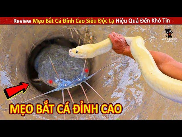 Review Mẹo Bắt Cá Đỉnh Cao Siêu Độc Lạ Hiệu Quả Đến Khó Tin || Review Giải Trí Đời Sống