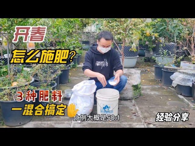 開春果樹該怎麼施肥？不需要買買，這3種肥料一搭配，高效肥力足