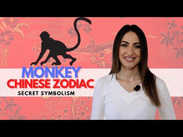 MONKEY Chinese Zodiac Sign - Everything You Need To Know!