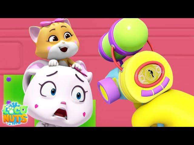 BabySitter Funny Cartoon Videos For Children with Loco Nuts