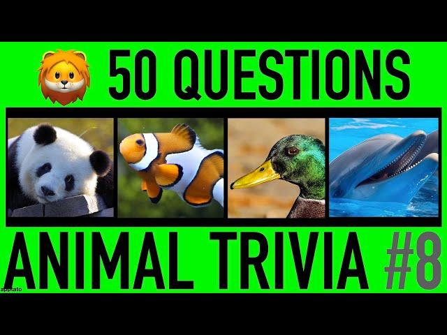 ANIMAL TRIVIA QUIZ #8 - 50 Animals Knowledge Trivia Questions and Answers | Animal Pub Quiz