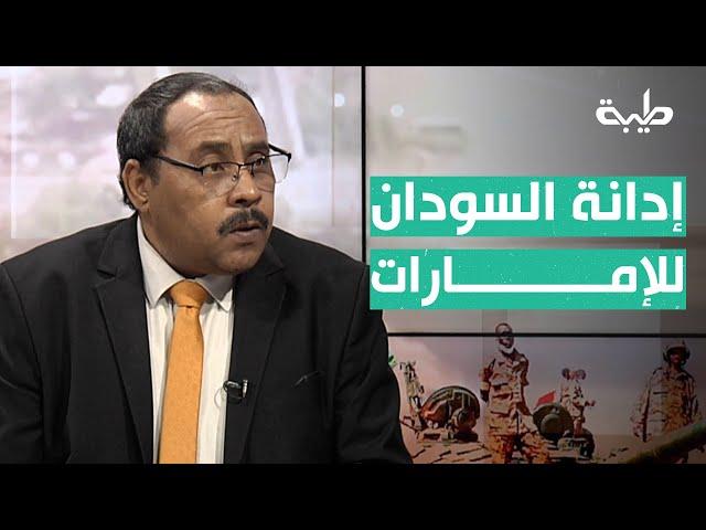 حسن إسماعيل: السودان حشد حيثيات قوية تدين الإمارات بتعاملها مع المليشيات