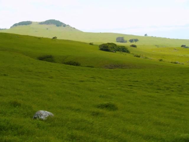 Morning in the country - relaxing country sounds