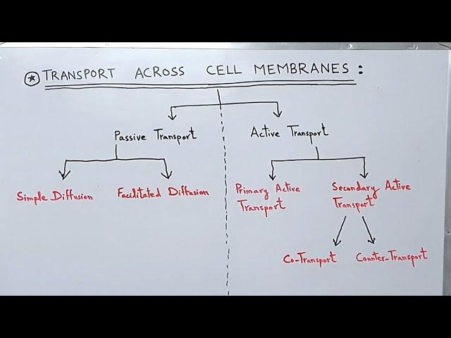 Transport across the Cell Membrane / Plasma Membrane | Active and Passive Transport