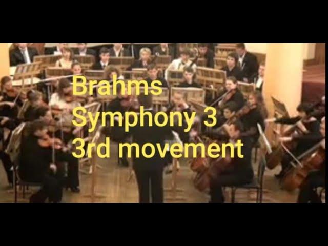 J.Brahms Symphony No.3 (3rd movement)/Sergey Neverov (conductor)