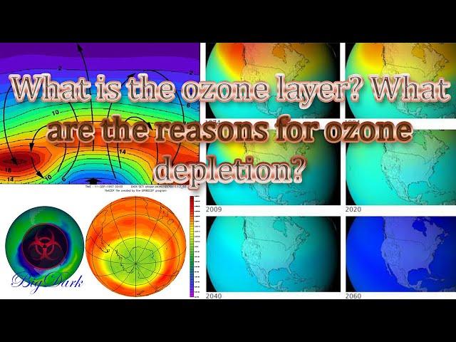 What is the ozone layer? What are the reasons for ozone depletion?