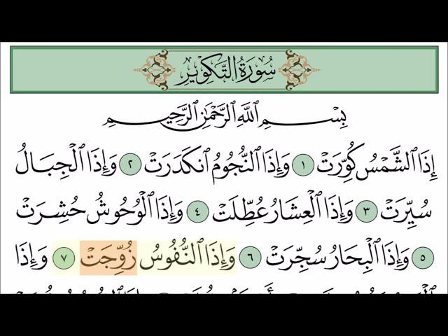 سورة التكوير مع تتبع الكلمات || المصحف المعلم لخليفة الطنيجي Surah At-Takwir