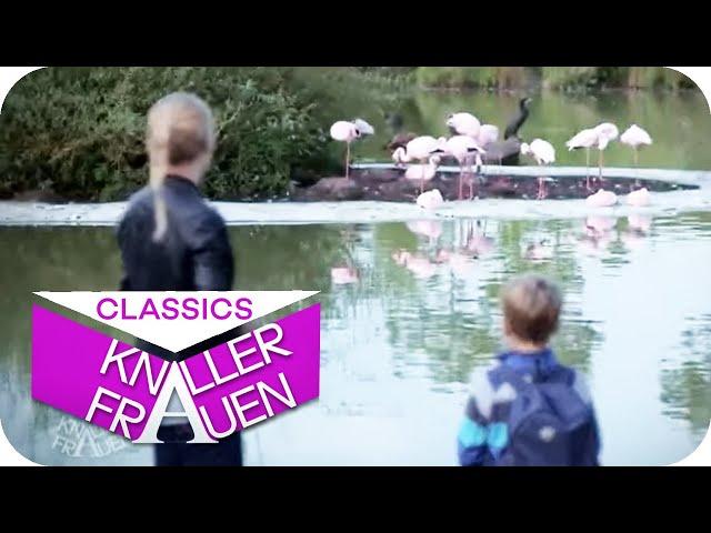 Warum sind Flamingos rosa? | Knallerfrauen mit Martina Hill