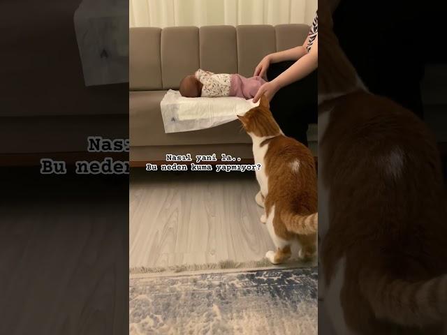 Müslüm inanamıyor 