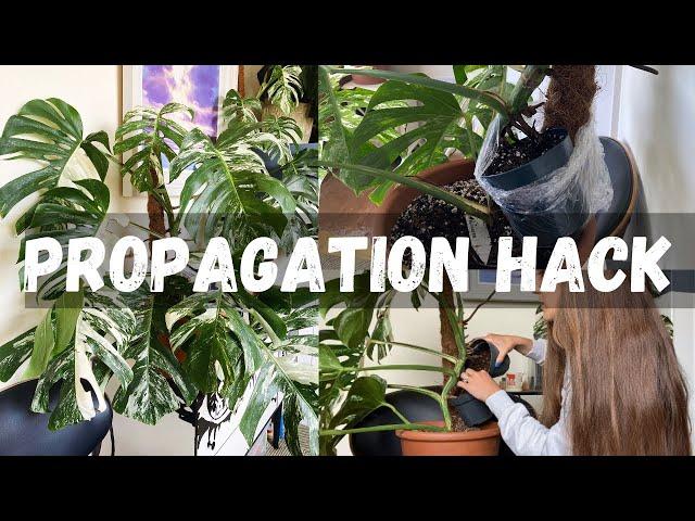 Propagation Hack | This is genius 