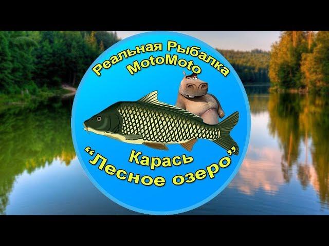 Как поймать Карася на Лесном озере [АРХИВ] | Реальная Рыбалка