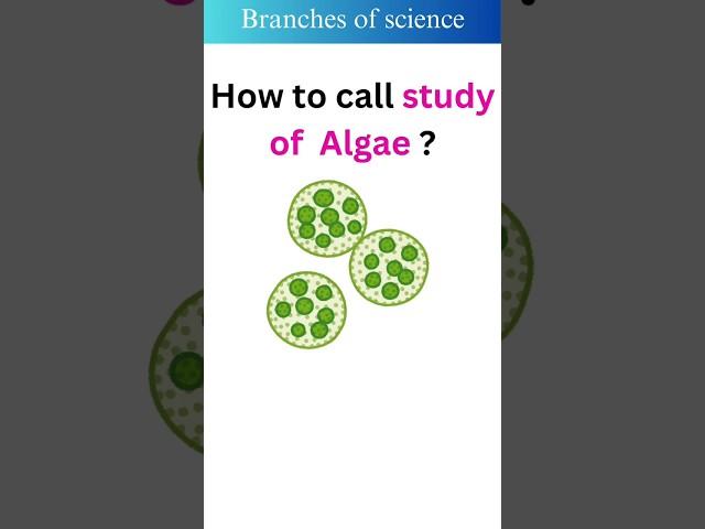 Branches of science #english #science #easyenglish #education #shortsvedio #shorts @quizzone230